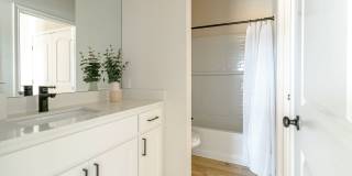 *New Construction* Gallery 62