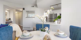 The Bluffs at Highlands Ranch Gallery 3