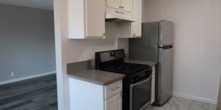 SHIRMAR 2 Gallery 21