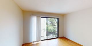 2038 Divisadero Gallery 6