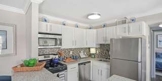 Nautilus Point Gallery 11