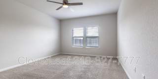 2126 Silver Maple Gallery 23