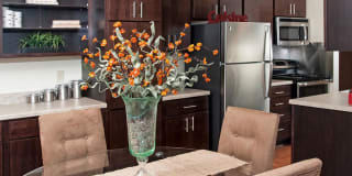 Terra Pointe Apartments Gallery 29