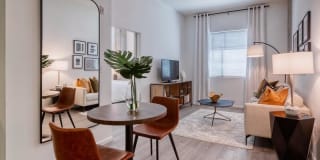 Agave 350 Gallery 39