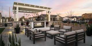 Banyan South Mountain Gallery 25