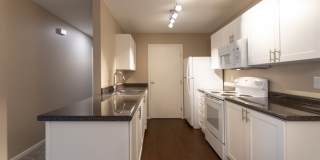 Washington Place Gallery 13