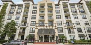 Lantower Westshore Gallery 40
