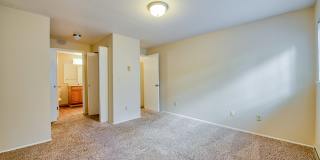 Arbor Square Gallery 38