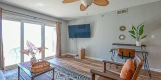 FURNISHED OFF-SEASON OCEANFRONT MONTHLY RENTAL Gallery 7