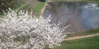 9548 FOX HOLLOW Gallery 11