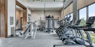 Park at Stone Oak Gallery 31