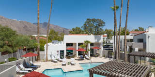 Cortland North Tucson Gallery 13