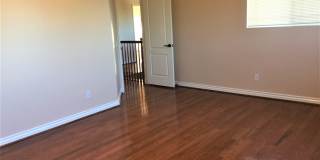 Gorgeous large single family home in Eastlake! Gallery 13