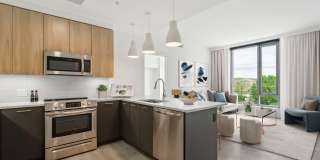 Skymark Reston Town Center Gallery 52