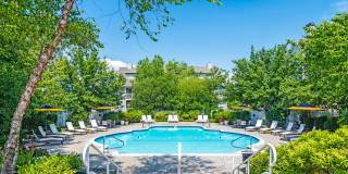 Essex Apartments Gallery 12