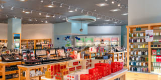 The Chestnut Gallery 41