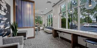 The Washingtons Gallery 14