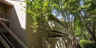 Central Santa Clara Location Gallery 1