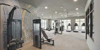 Vue Sonoma Verde Gallery 24