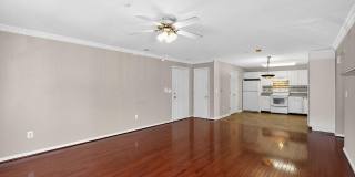 2013 RUDY SERRA Drive unit: 2D Gallery 7