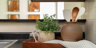 Mountain View Gallery 4