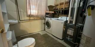 2888 North 1050 East 2888 North 1050 East Gallery 10