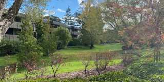 2159 Shelter Creek Lane Gallery 16