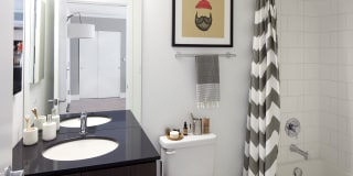 Ambassador Gallery 26