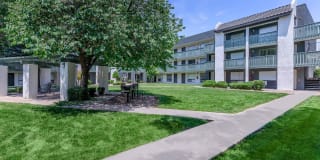 Treehouse Apartments Gallery 43