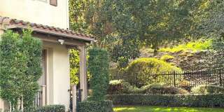 2 Honeydew Gallery 2
