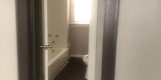 3 Bedroom, 1 Bath House Available with Private Yard Gallery 6