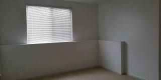 2444 Emily Lane Gallery 15