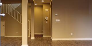 SHOWINGS AVAILABLE NOW Gallery 11