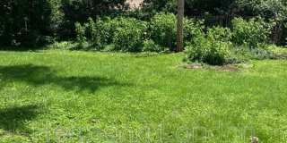 11276 Liana Ln Gallery 4