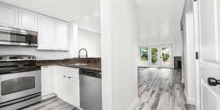 Terra Verde Gallery 9