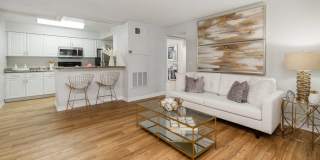 Ashton Chase Gallery 3