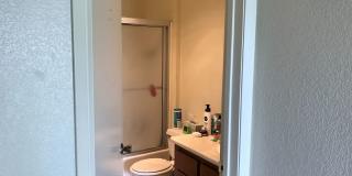 Stenner, 176 Gallery 16