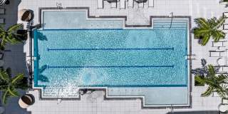 Aster & Links Gallery 5