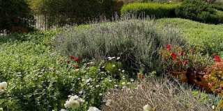 3200 La Rotonda Gallery 37