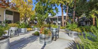 Lorien Ivy Apartments Gallery 28