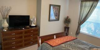 224 Clearwater Cir Gallery 10