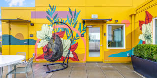 Colina Gallery 18