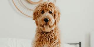 Halo Decatur Gallery 3