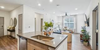 Premier at West Park Gallery 8