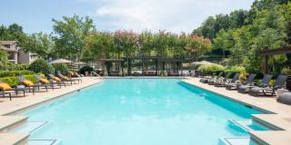 Cortland Duluth Gallery 1