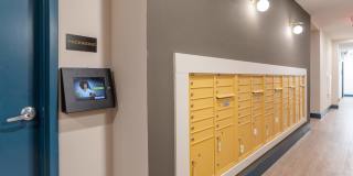 The Mallory Gallery 54