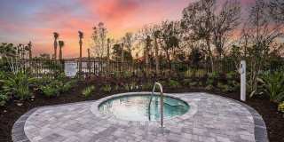 15013 SHADY PALMS LANE Gallery 27