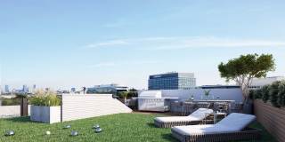 Cadence on Leo Gallery 15