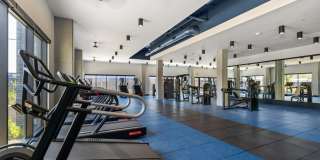 The Emery Gallery 79