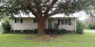 368 Dees Gallery 1